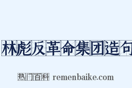 林彪反革命集团造句是什么意思的图片